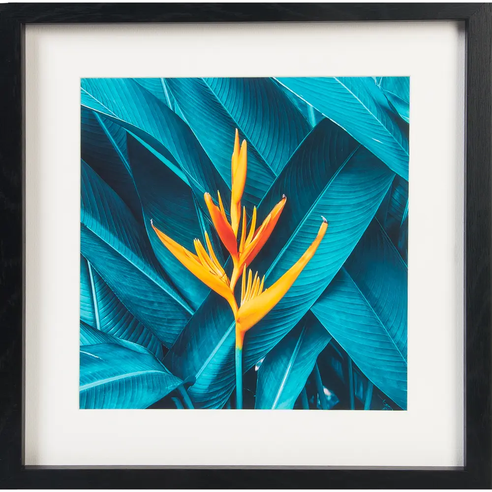 Картина в раме «Тропический цветок» 35x35 см 82484768 STLM-2148410 Santreyd 