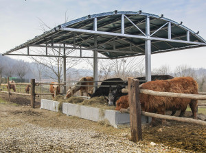 Навес для укрытия и кормления скота