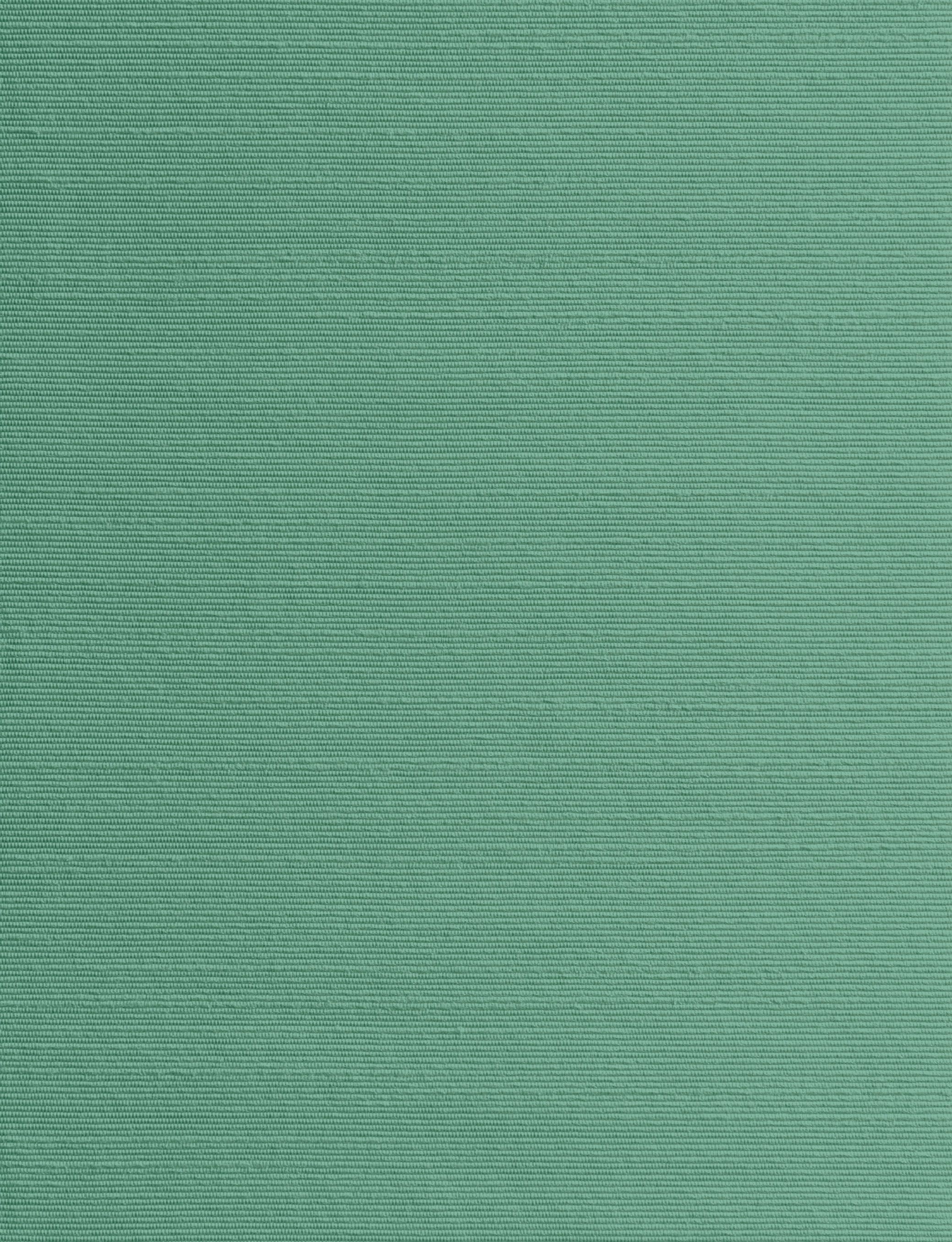 Ткань / обои в Trevira® CS Dedar Alter Ego ARCH-00071553 - Вид №19