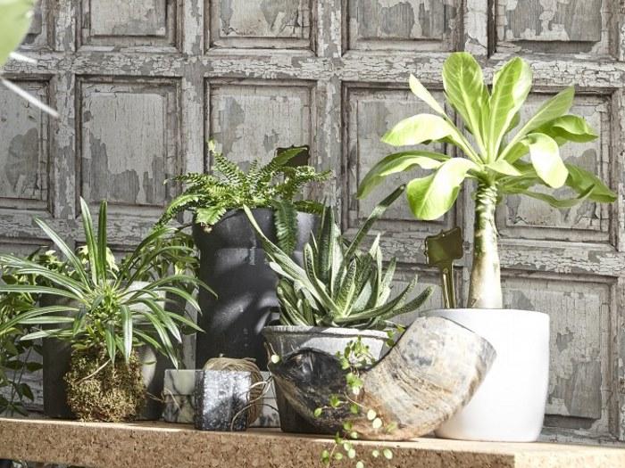 Koziel Обои на стену  8888-323 - 336  - Вид №18