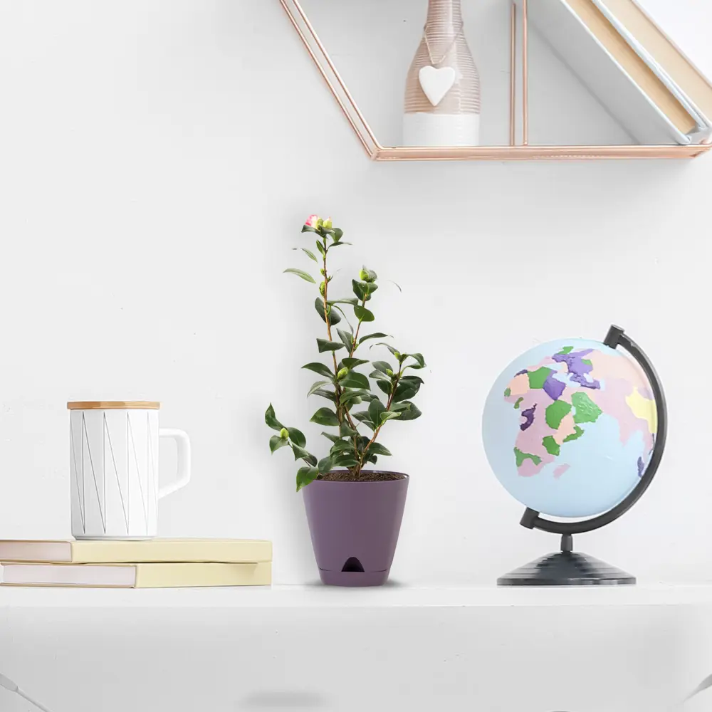 INGREEN Amsterdam — элегантный цветочный горшок для современного интерьера 82824905 STLM-0036586 - Вид №3