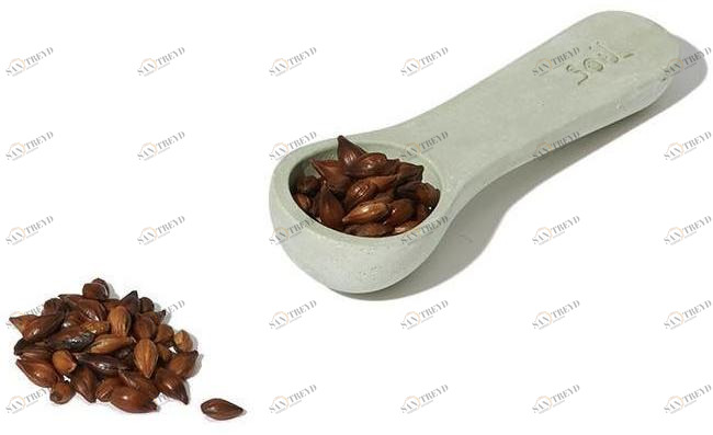 soil Чайная ложка в диатомите sun-id-1364692