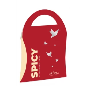 Саше ароматизированное Spicy 10 г 84182441 STLM-2164671