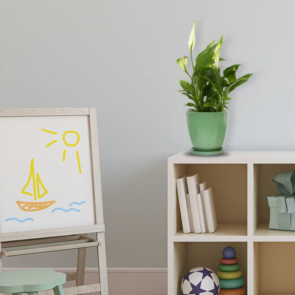 Спатифиллум Чопин Santreyd — элегантное тропическое растение с белоснежными цветами 14032601 STLM-0004212 - Вид №4