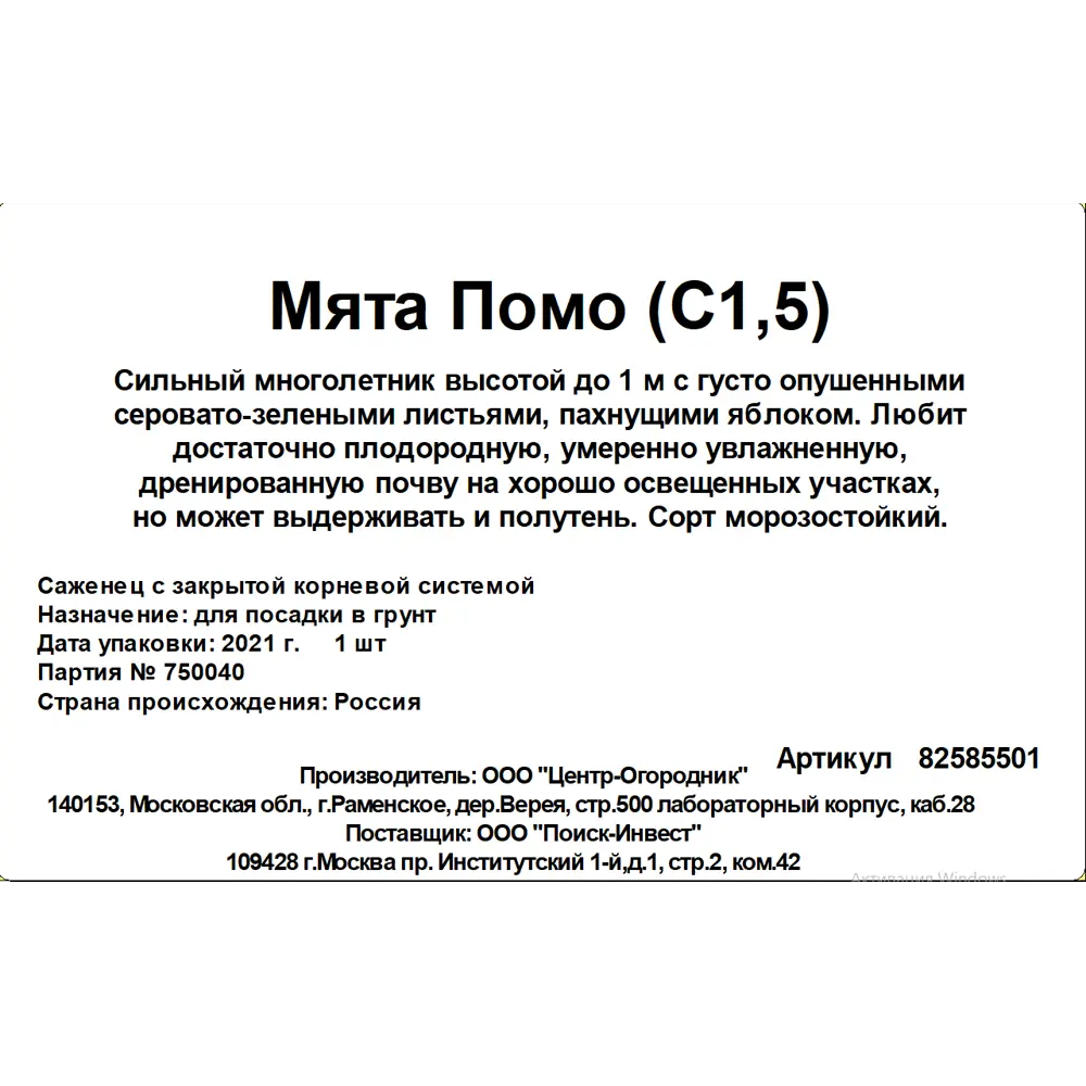 Мята «Помо» 15x20 см 82585501 STLM-2132310 Santreyd  - Вид №2
