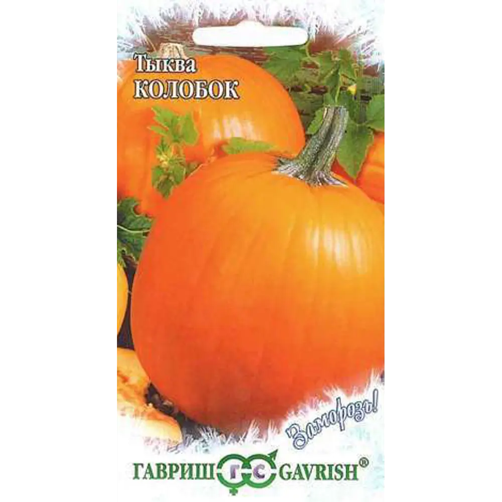 ГАВРИШ Тыква Колобок — витаминный сорт для богатого урожая 83607026 STLM-0042499