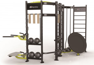 IZ-S Aerofit iz-s shape профессиональный комплекс для функциональных тренировок AeroFIT