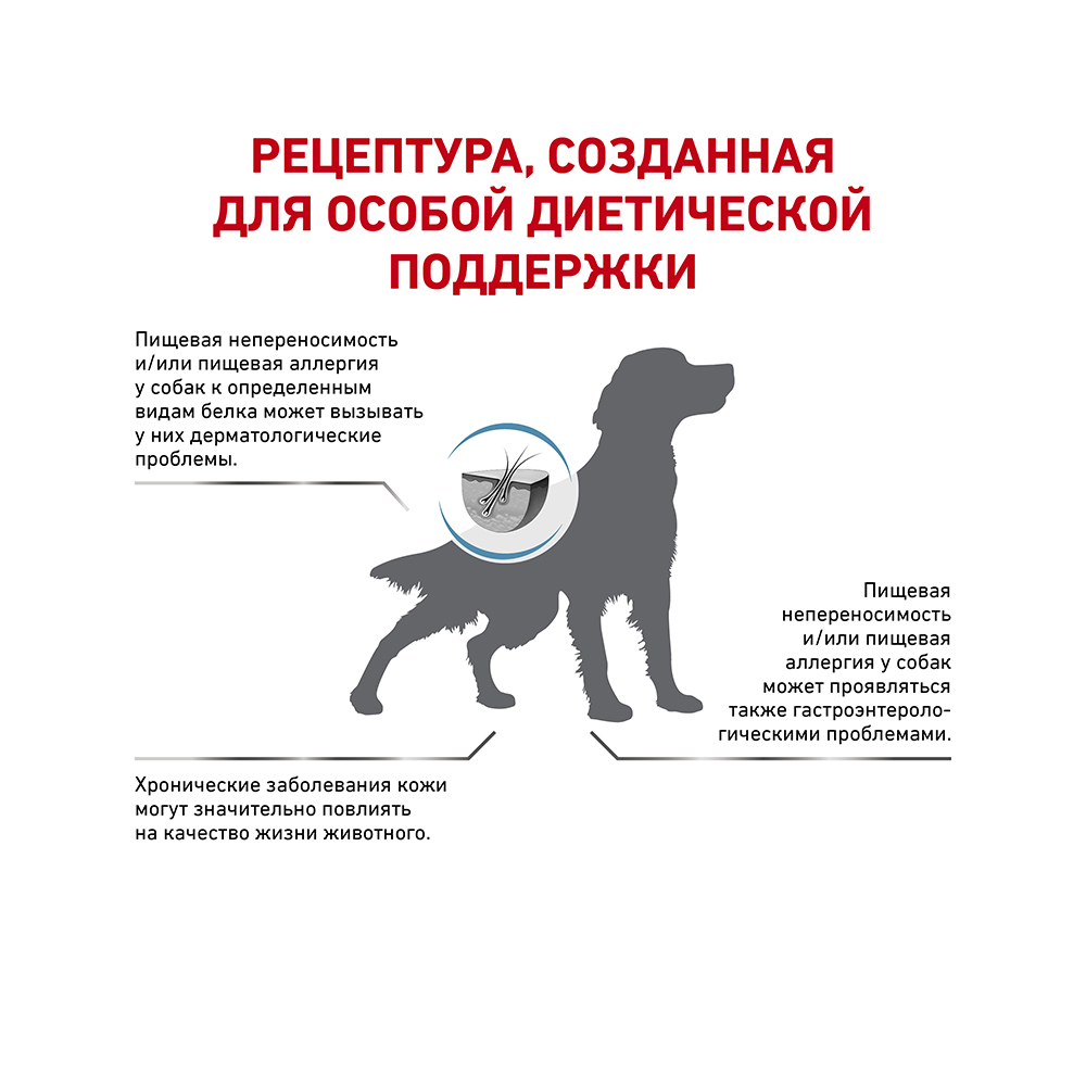 Т0023188 Корм для собак Vet Diet Hypoallergenic DR21 при пищевой непереносимости, птица сух. 14кг ROYAL CANIN  - Вид №2