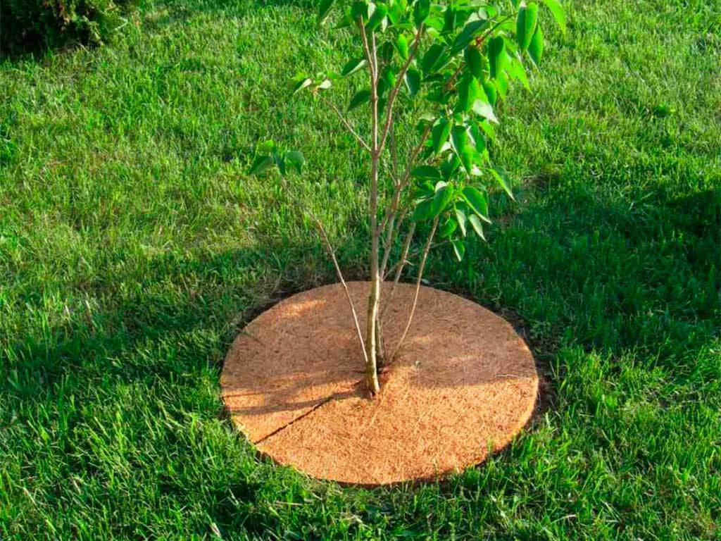 Круг приствольный Мульчаграм 40 см, комплект - 5шт ГеоПластБорд GPBST-248 - Вид №7