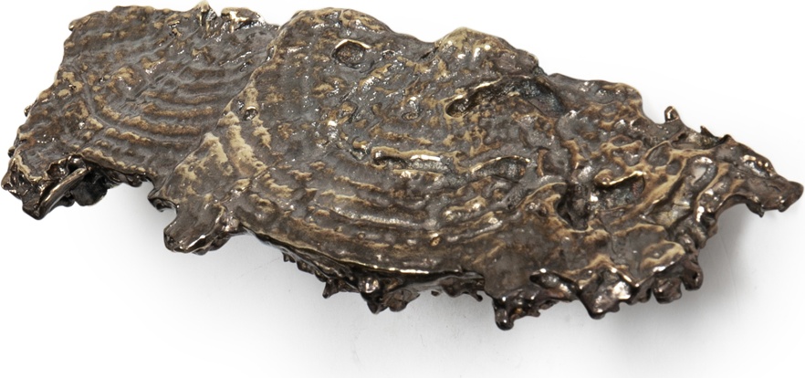 EA1033 Fungi PULLCAST Earth Collection  - Вид №1