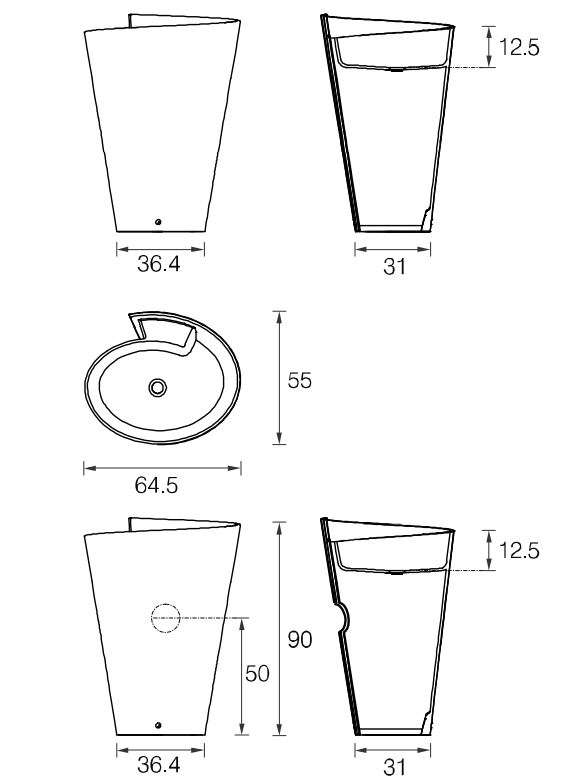 Kon bicolor Mastella  Раковина  - Вид №2