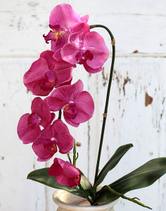 2526 420 a2 Искусственная орхидея Phalaenopsis, 73 см, real touch, вишня H-andreas