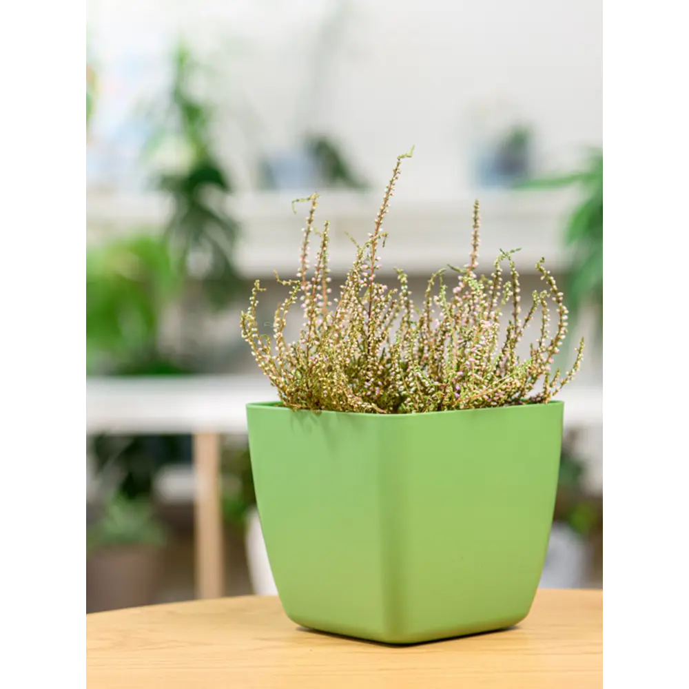 INGREEN Vienna - цветочный горшок оливковый для комнатных растений 89356154 STLM-0954080 - Вид №2