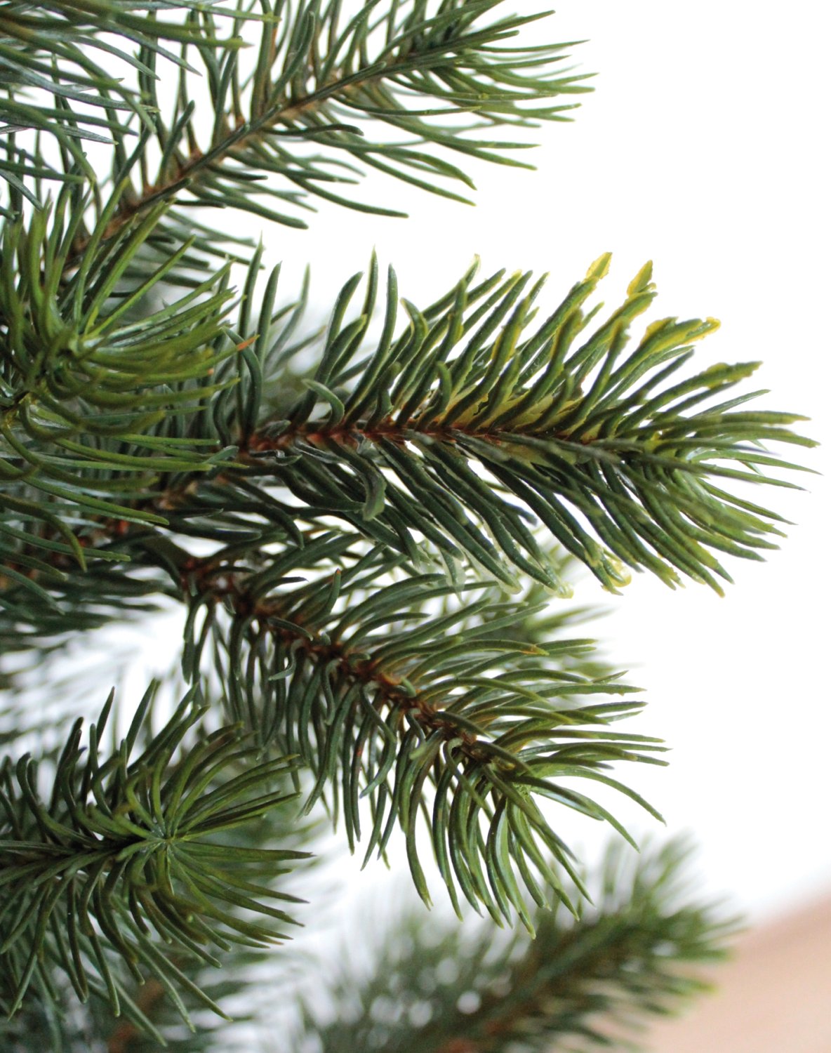 8900 883 a3 Искусственная елка в горшке, 120 см, зеленая H-andreas  - Вид №1