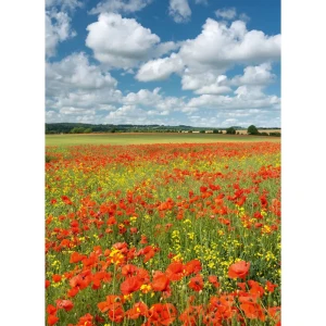 Фотообои бумажные «Краски лета» 184х254 см