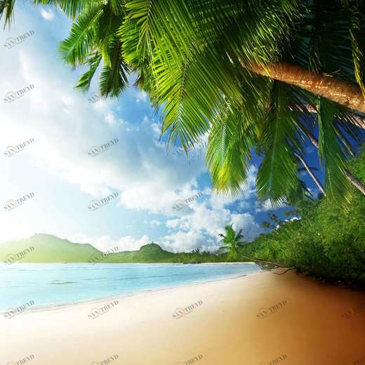 WP00280 Фотообои Verol Фотообои decoline 1х1 м