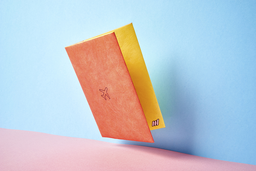 NC-001 Обложка на паспорт - new a New wallet  - Вид №3