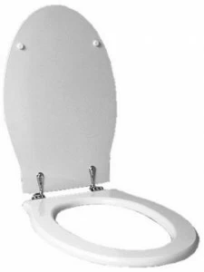 Ponte Giulio Rossari