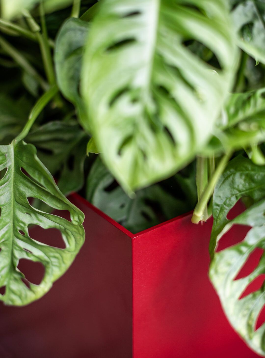 Низкая алюминиевая плантатор с порошковым покрытием SIXINCH PLANTER ARCH-00146353 - Вид №13