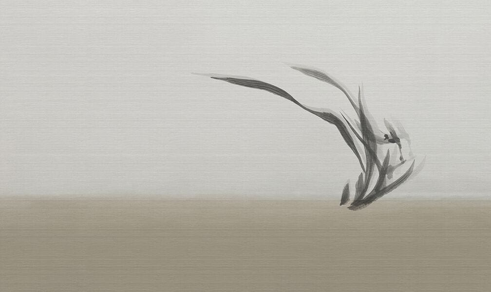 Обои N.O.W. Edizioni CONCRETE / ECO ARCH-00035607 - Вид №2