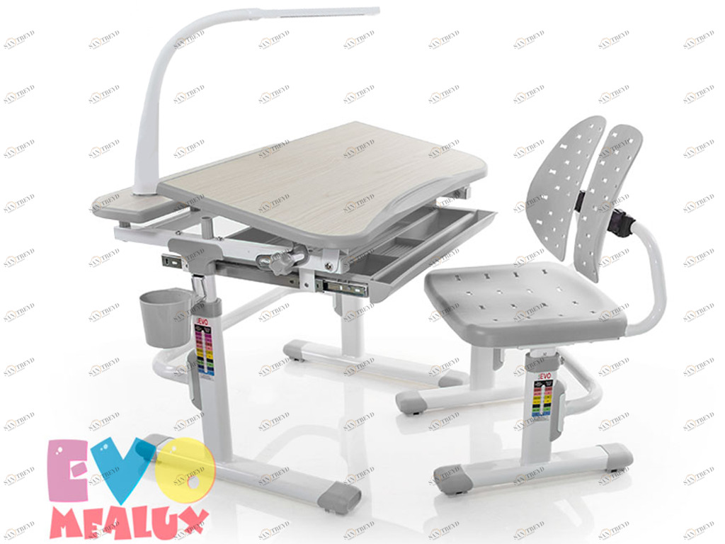Растущая парта и стул EVO-05, с лампой, клен, серая MEALUX EVO  261458 Серый;молочный Santreyd 