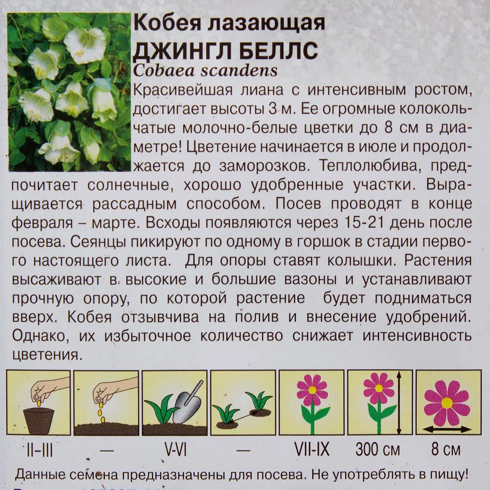 Кобея «Джингл Беллс» h10, 5 шт., Чудный балкон 81933417 STLM-2113596 ГАВРИШ  - Вид №2