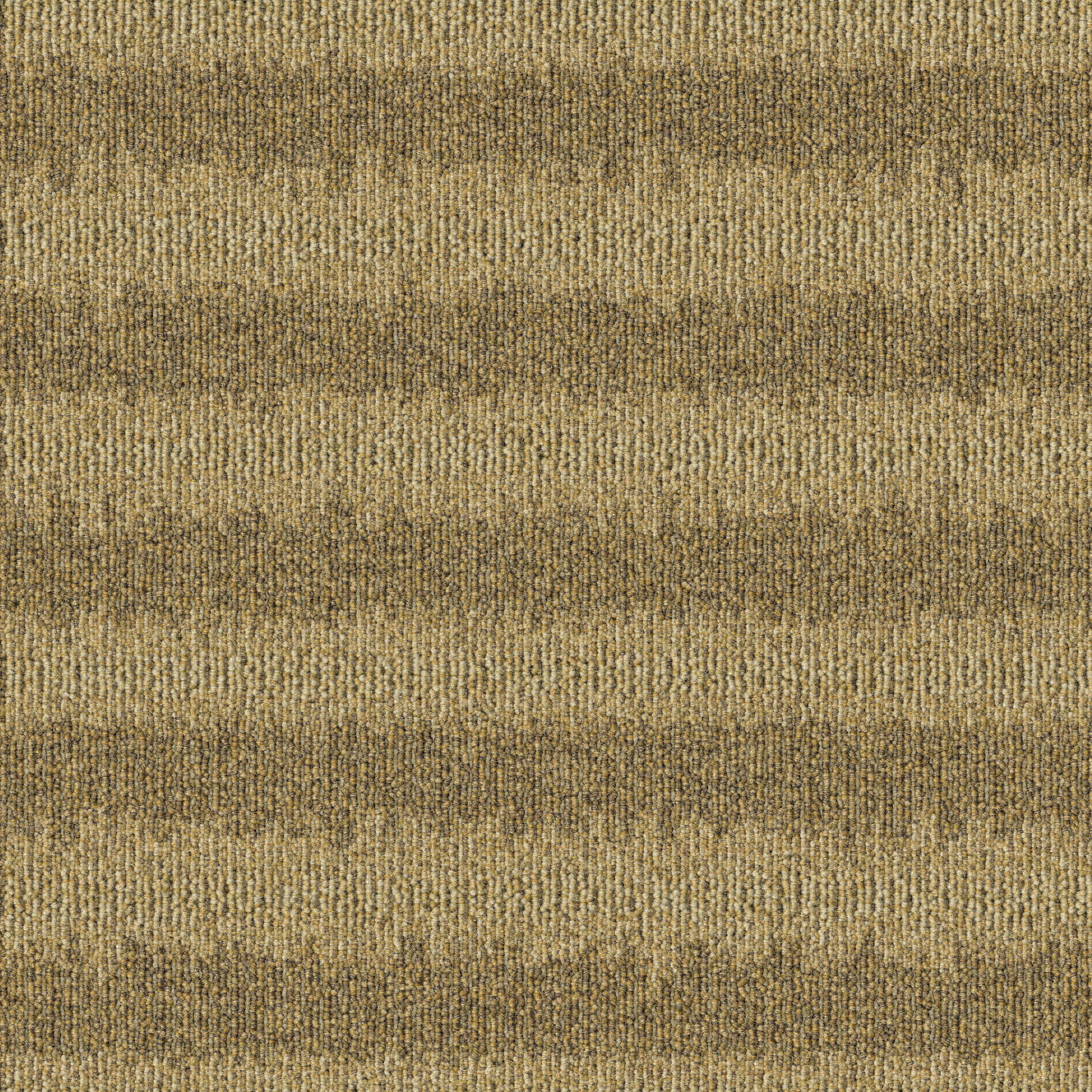 Ковровое покрытие ECONYL® MODULYSS Heritage ARCH-00114084 - Вид №6