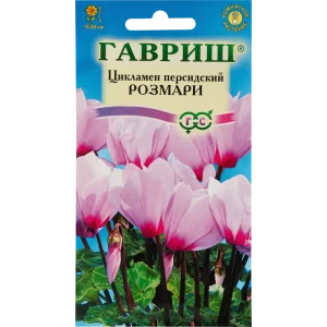 Цикламен персидский «Розмари», 3 шт.