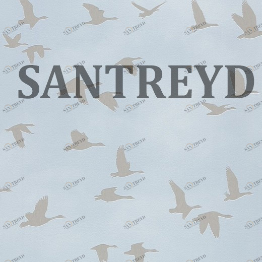 503357 Обои Rasch Kids & Teens II