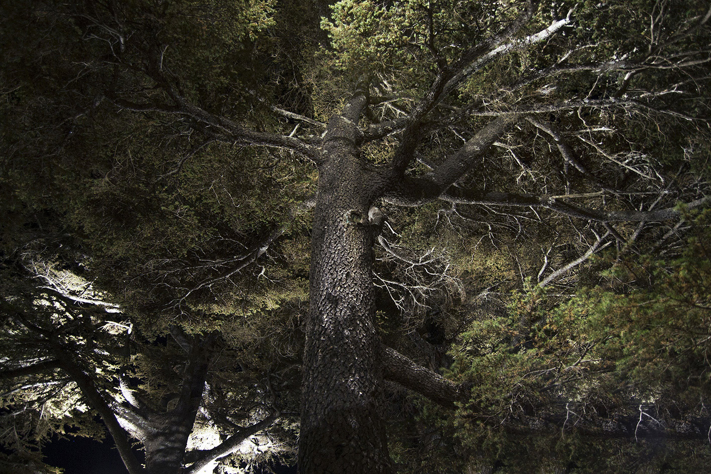 8422568 Проектор Platek SPRING Proiettore  SPRING Floodlight - 18 LED 4000K 40°  - Вид №3