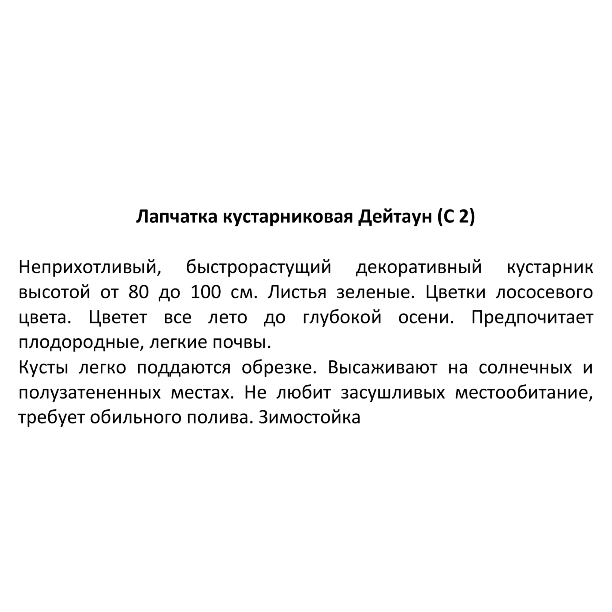 82585345 Лапчатка кустарник «Дейдаун» 15x20 см Santreyd  - Вид №1