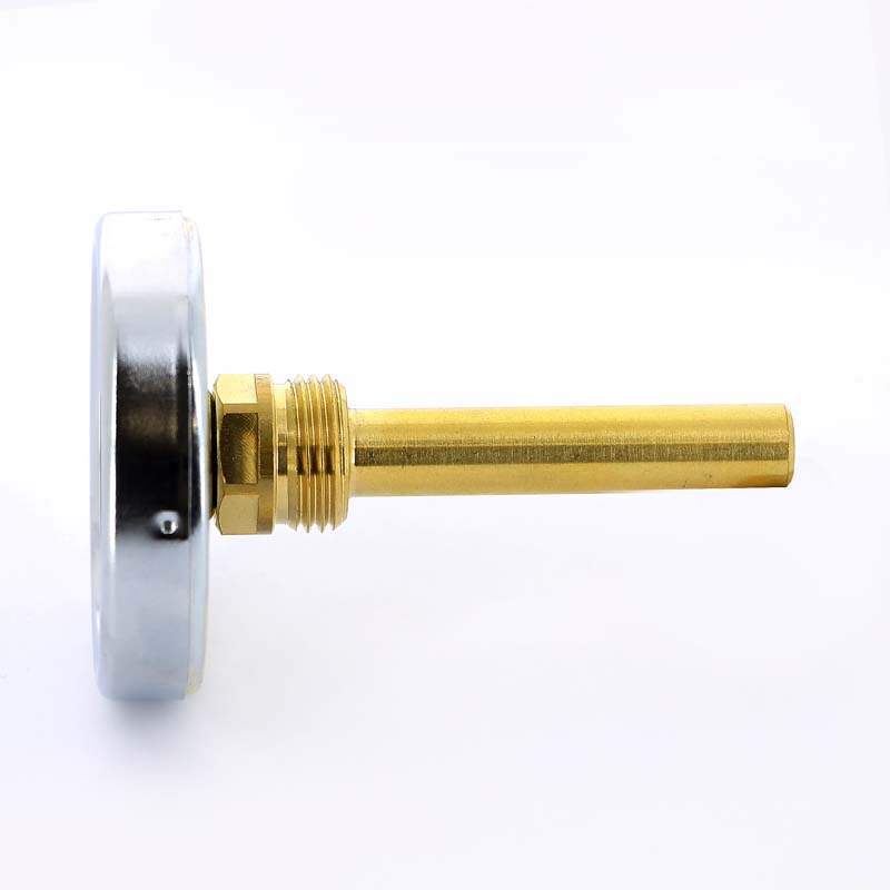 Термометр биметаллический F+R801 63мм с погружной гильзой WATTS Ind 160 град.C гильза 75мм 10005810 - Вид №1