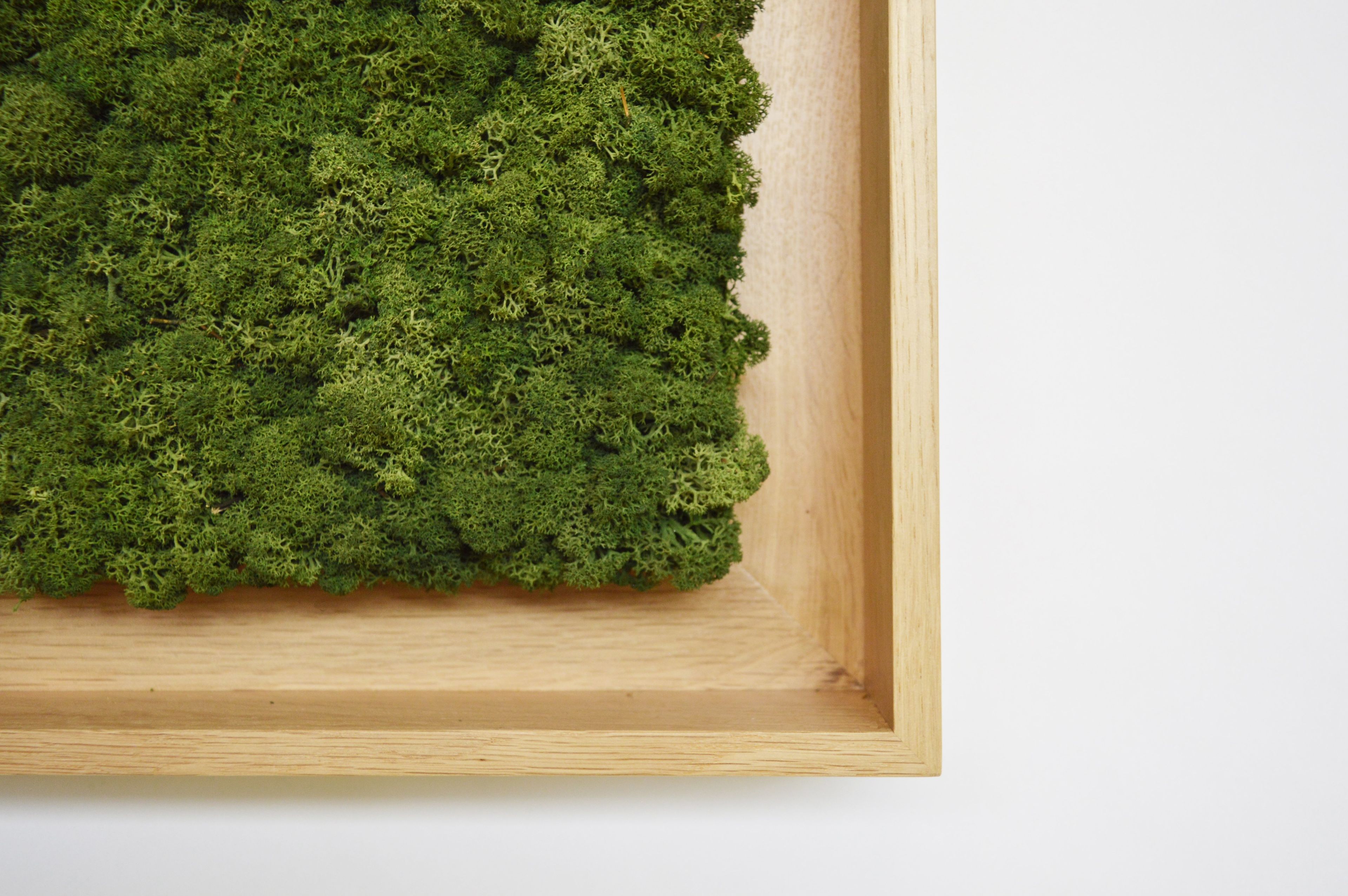 Акустическая панель из мха GREENMOOD FRAMED GEOMETRIC ARCH-00124960 - Вид №26