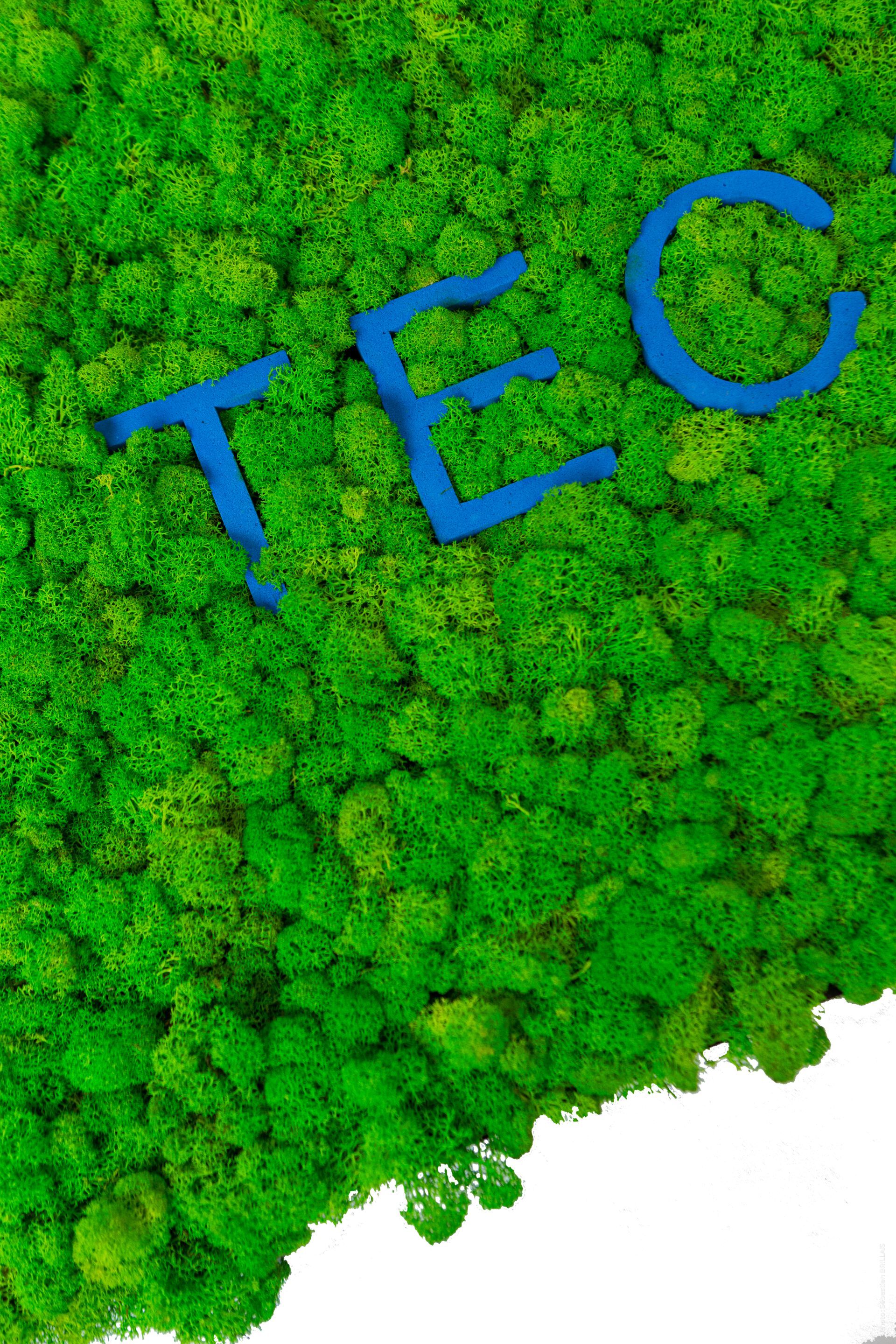 Растительная картина в лишайниках Tecsound PureKustik ARCH-00116004 - Вид №2