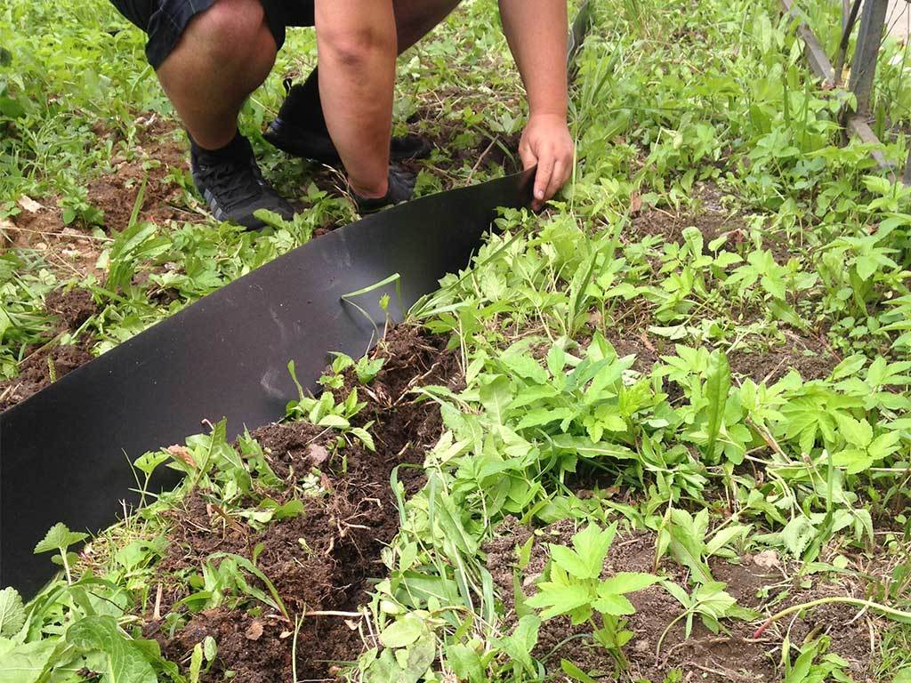 Лента бордюрная 150 мм x 10 м, 2 мм ГеоПластБорд GPBST-53 - Вид №6