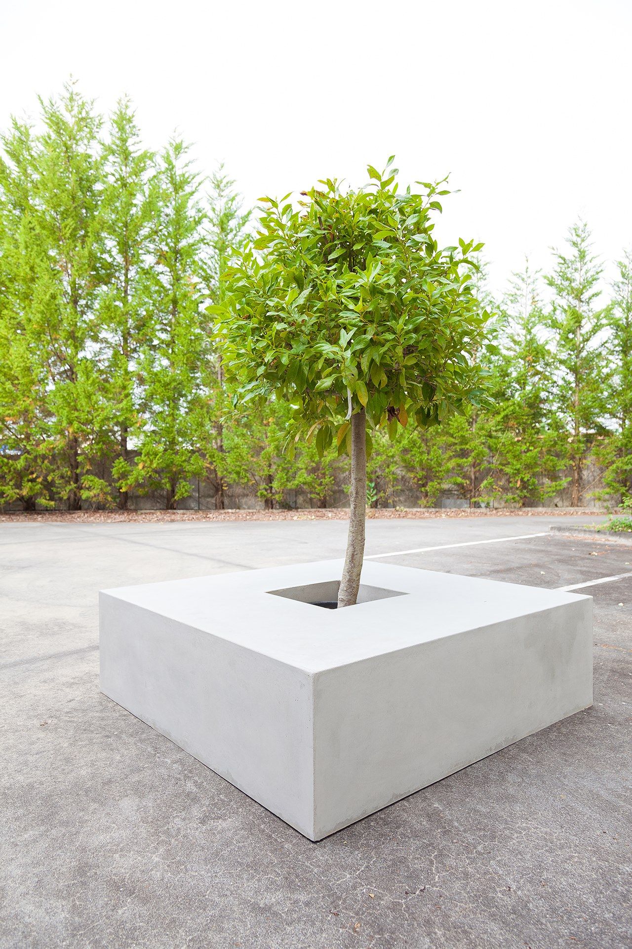 Скамейка из армированного волокном бетона со встроенной сеялкой SIT SQUARE ARCH-00145633 - Вид №3