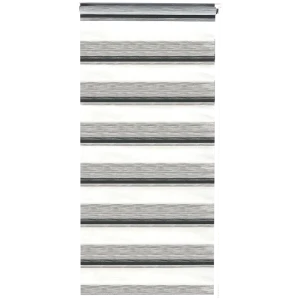 Штора рулонная день-ночь Лечче 55x160 см серая