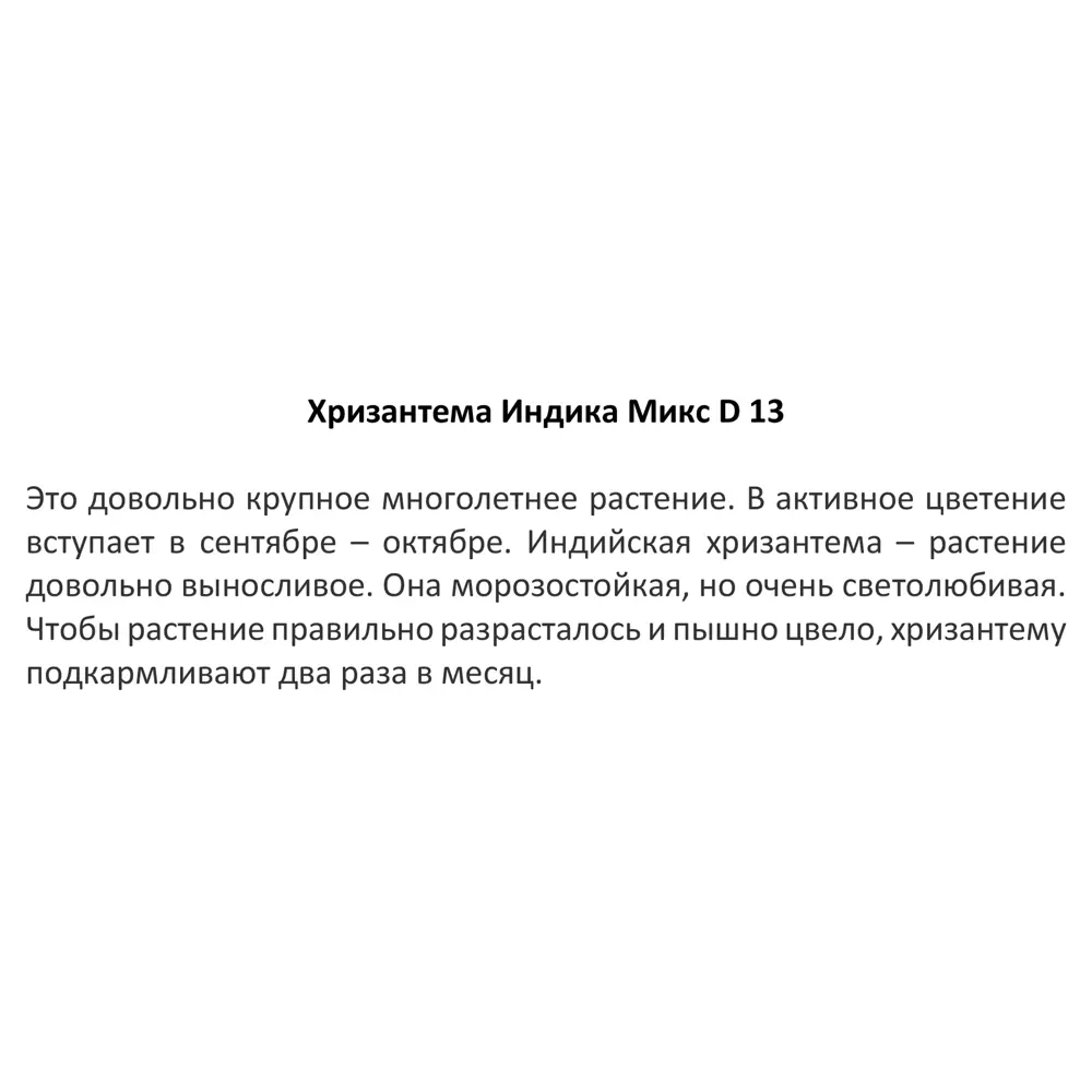 Santreyd Хризантема индийская микс — цветущее украшение сада и интерьера 82755463 STLM-1532424 - Вид №3