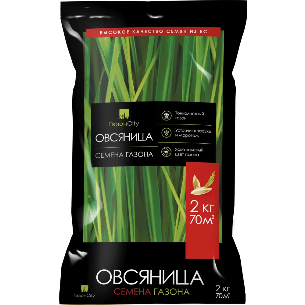 ГАЗОНCITY Овсяница — семена для изумрудного газона 2 кг 82839165 STLM-0036888