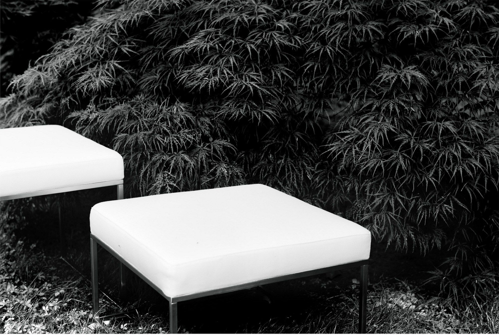 Стальной стул Living Divani Ile ARCH-00056500 - Вид №2