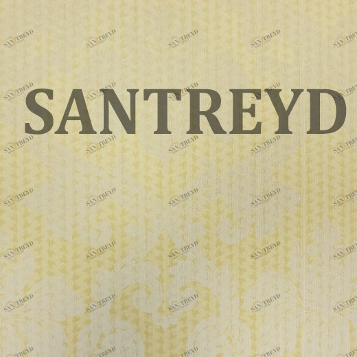 79509 Обои Rasch Selected