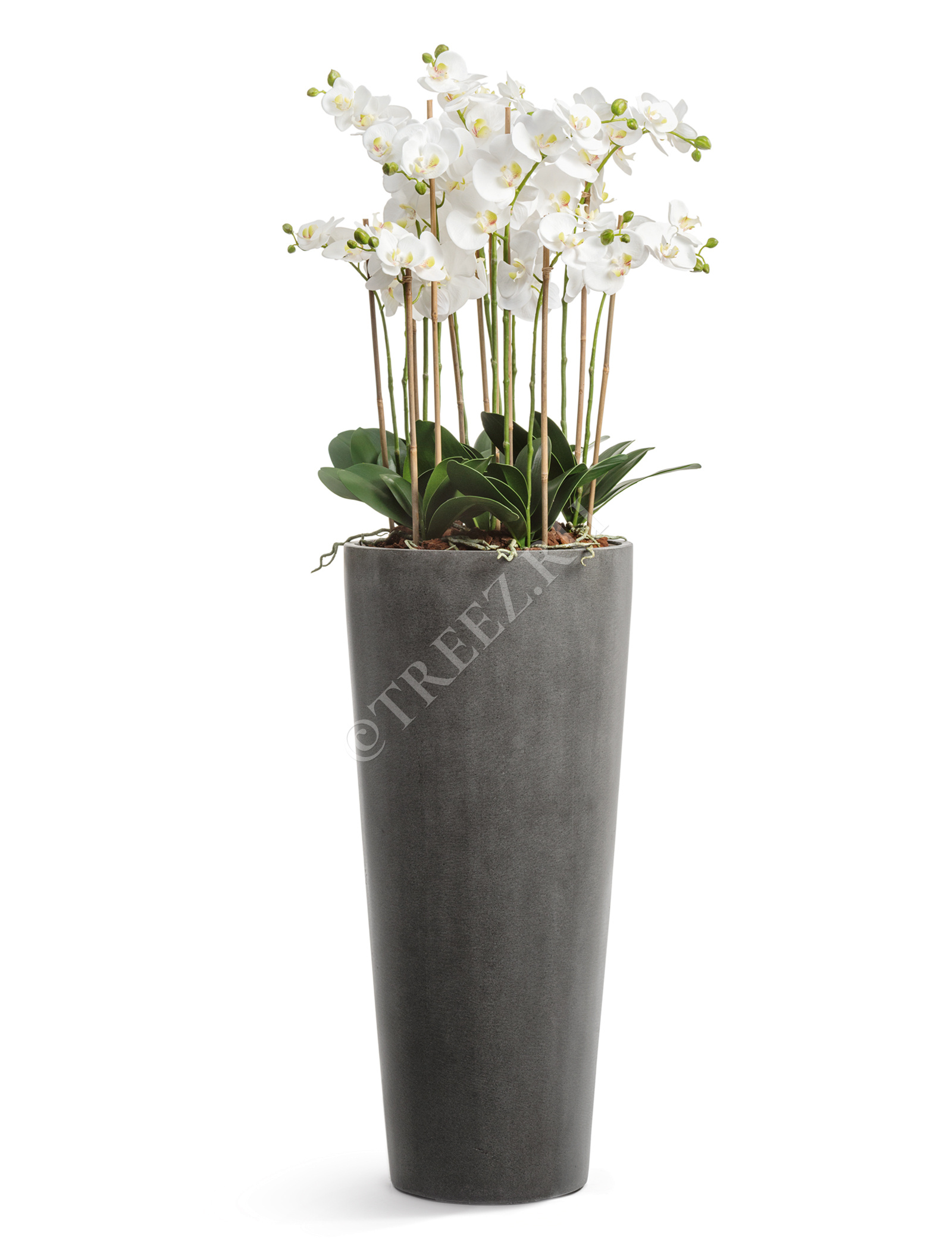 41.3319-02-020-GR-61 Кашпо  Effectory - серия Beton - Высокий конус - Тёмно-серый бетон Цветочная коллекция  - Вид №10
