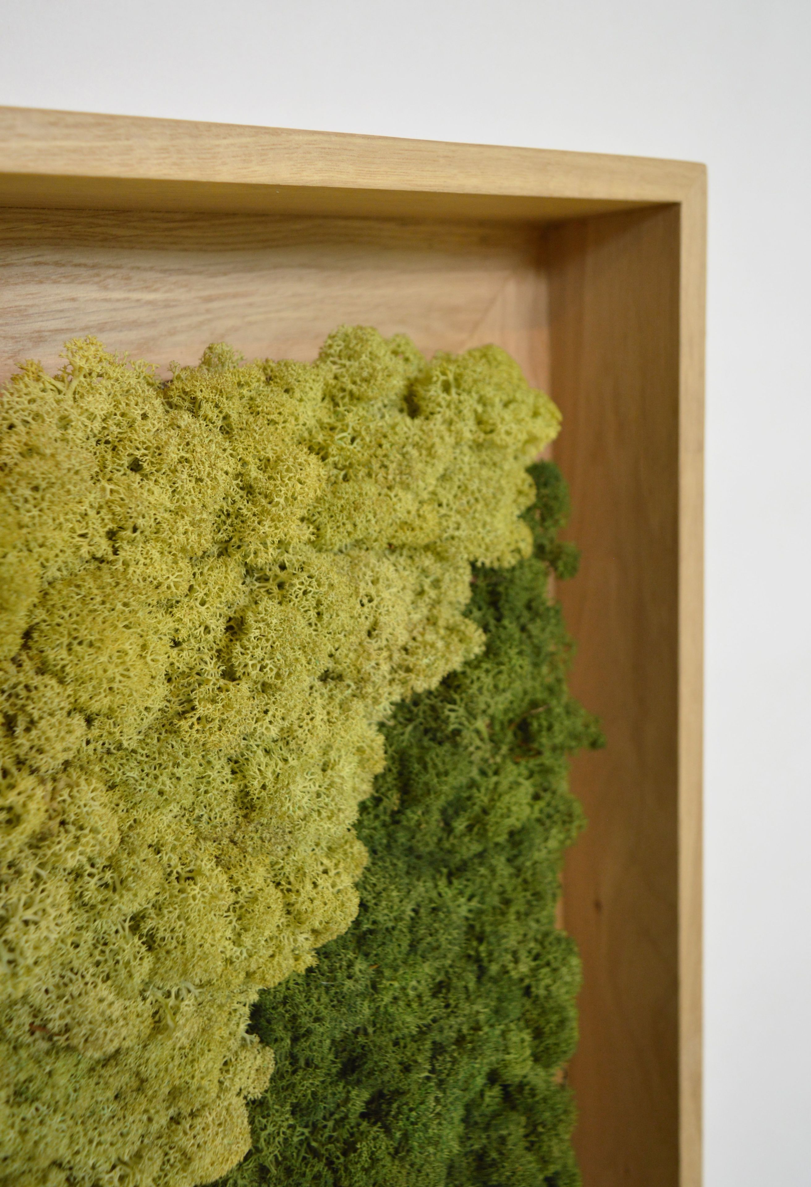 Акустическая панель из мха GREENMOOD FRAMED HARMONY ARCH-00128753 - Вид №24