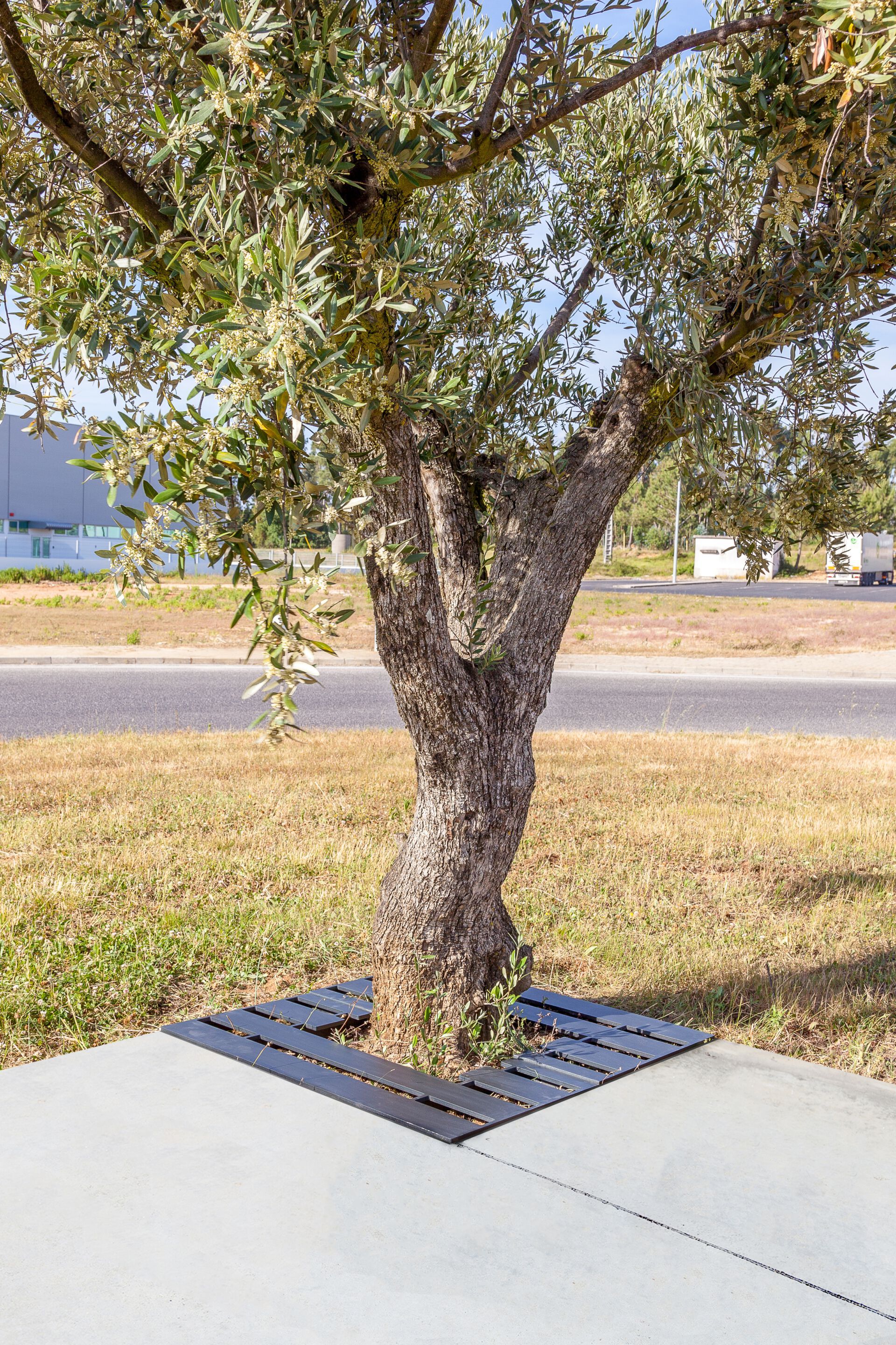 Железная решетка для деревьев SIT Wade ARCH-00118282 - Вид №2