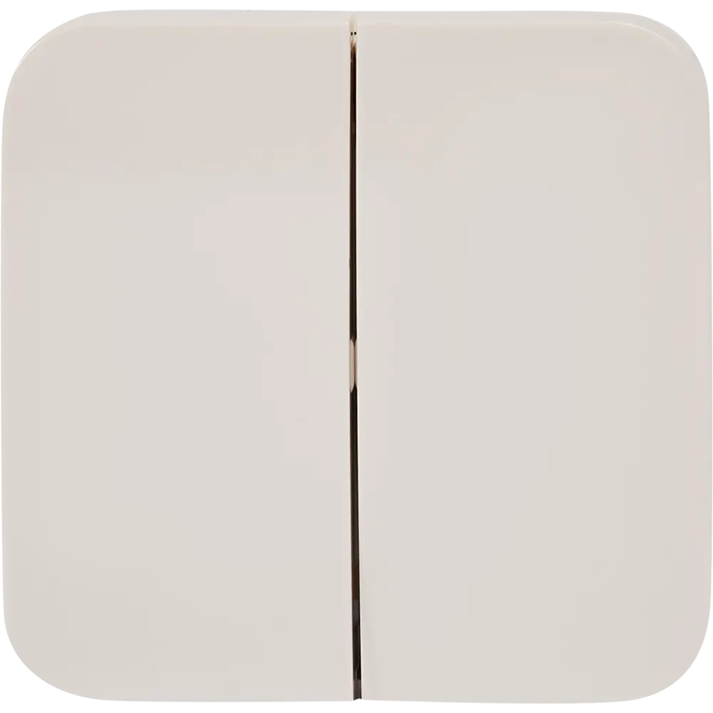 Выключатель накладной Schneider Electric Blanca 10 Ас 2 клавиши цвет бежевый 86724498 STLM-2134123 SYSTEME ELECTRIC - Вид №1