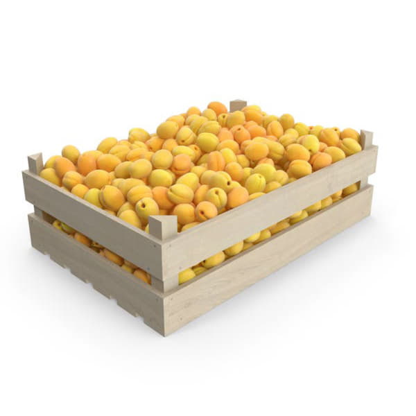 Абрикосы Узбекистан в ящике ~9 кг Santreyd 19498