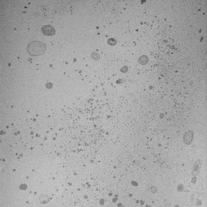 Арт-панель на холсте Alex Turco Abstract Silver Star Dust