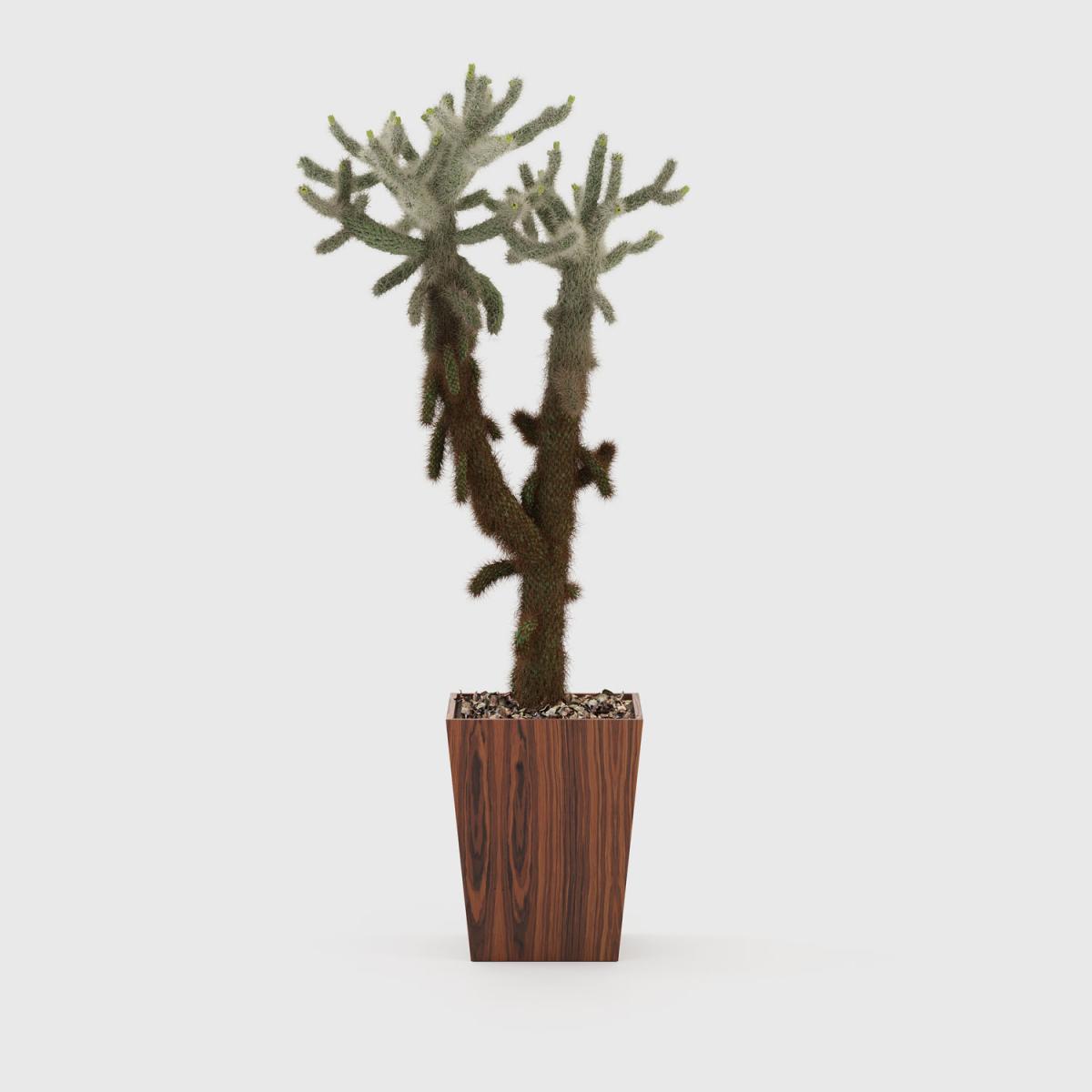 093222 Цветочный горшок LasKasas Poppy  - Вид №1