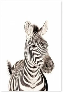 Groovy Magnets Магнитный плакат Animal Pos-62-z