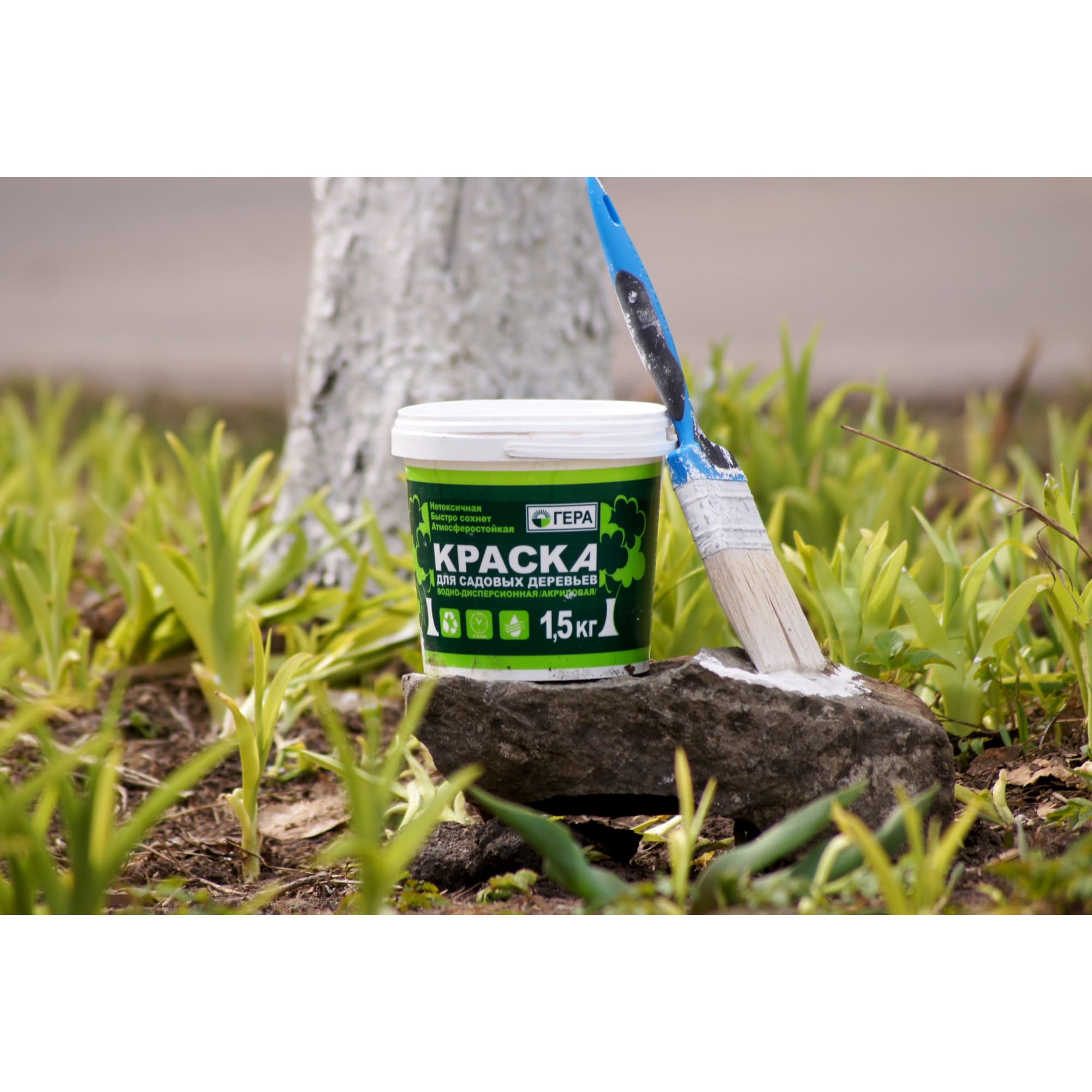 17475598 Краска для садовых деревьев 4.0 кг Santreyd  - Вид №2